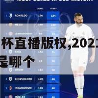 2024欧洲杯直播版权,2021年欧洲杯直播平台是哪个