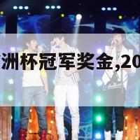 2016年欧洲杯冠军奖金,2016欧洲杯奖牌